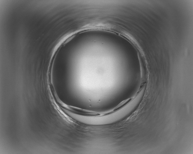 X0000056021344200508191317