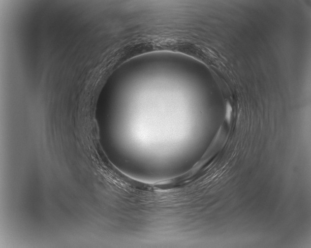 X0000056021345200508191317