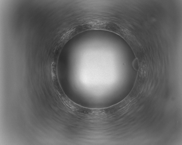 X0000056021346200508191317