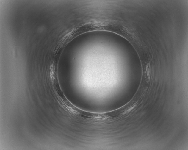 X0000056021348200508191317