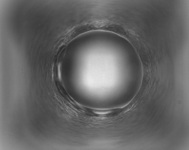 X0000056021349200508191317