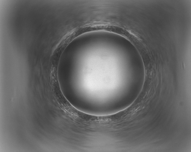 X0000056021351200508191317
