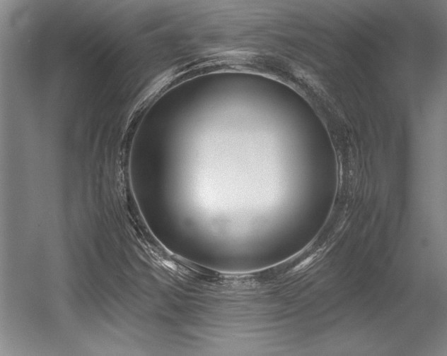 X0000056021354200508191316