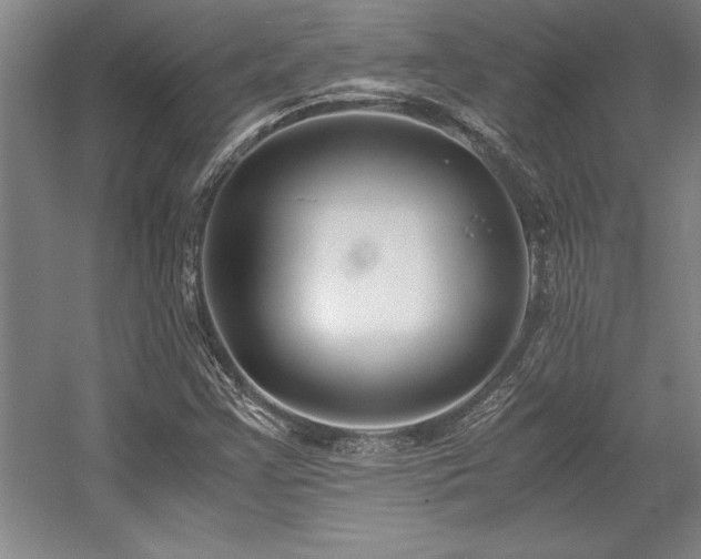 X0000056021355200508191316
