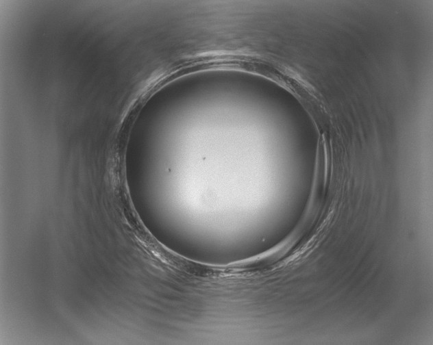 X0000056021357200508191316