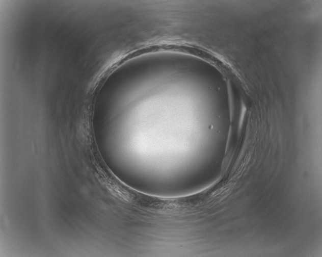 X0000056021359200508191316