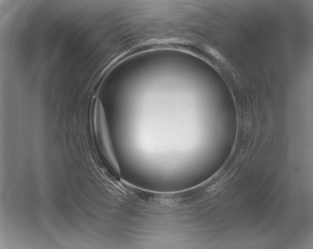 X0000056021361200508191316