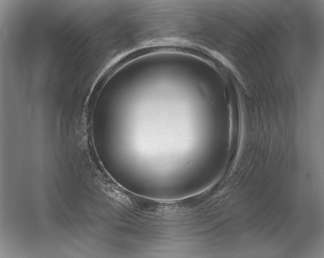 X0000056021364200508191316