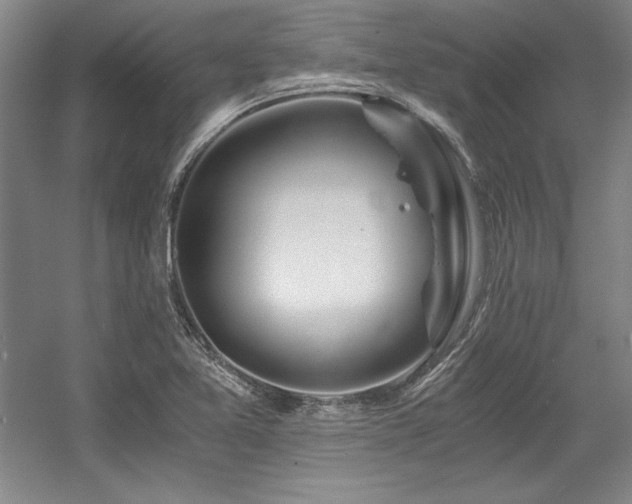X0000056021365200508191316