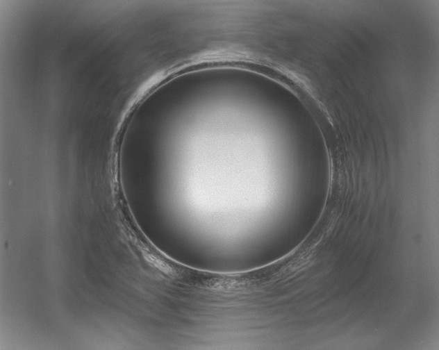 X0000056021366200508191316