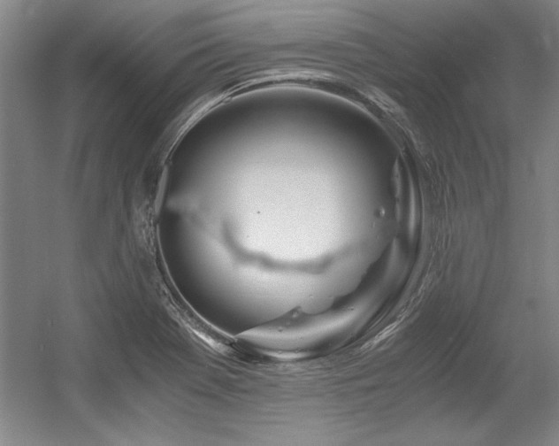 X0000056021369200508191316