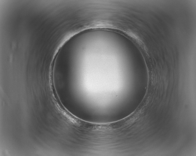 X0000056021374200508191316