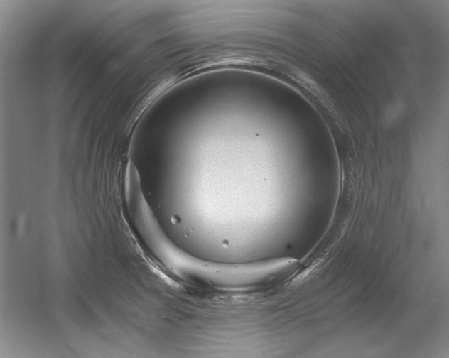 X0000056021377200508191316