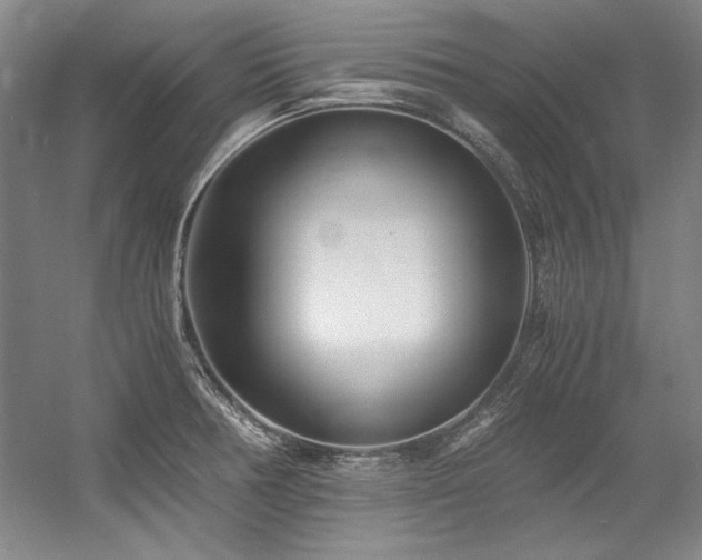 X0000056021378200508191316