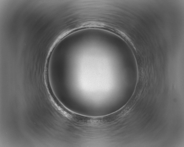 X0000056021379200508191316