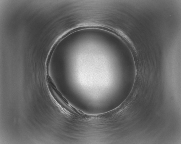 X0000056021380200508191316