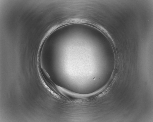 X0000056021381200508191316