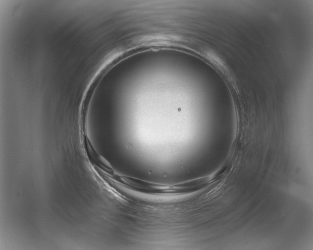 X0000056021384200508191316