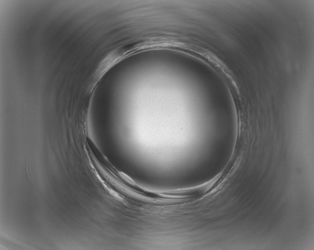 X0000056021385200508191316