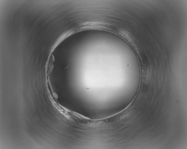 X0000056021386200508191316