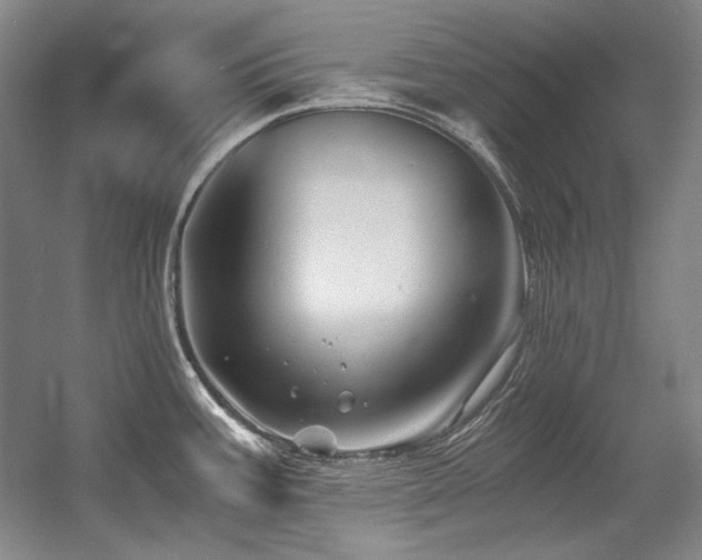 X0000056021387200508191316