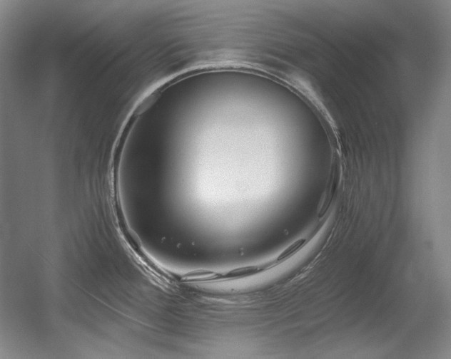 X0000056021388200508191316