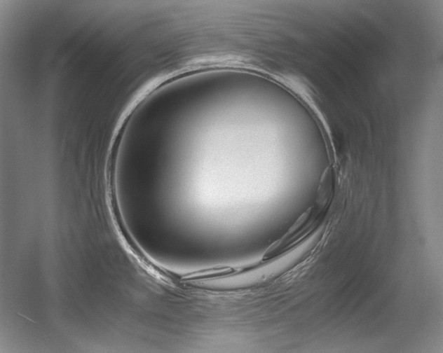 X0000056021389200508191316