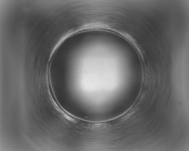 X0000056021390200508191316