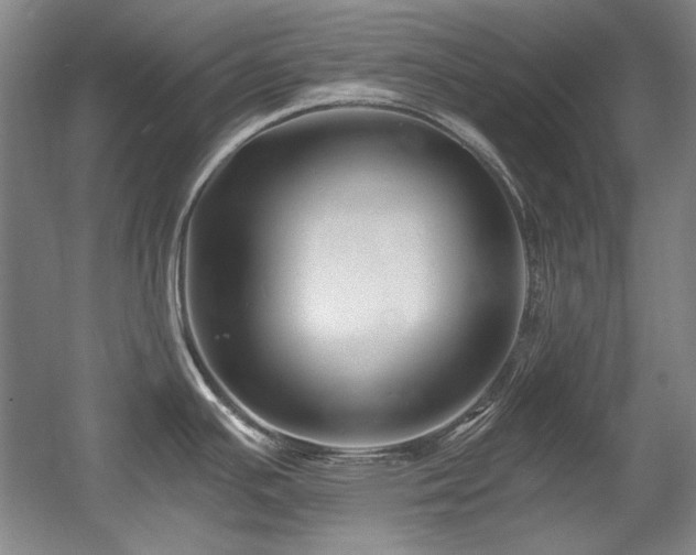 X0000056021391200508191316
