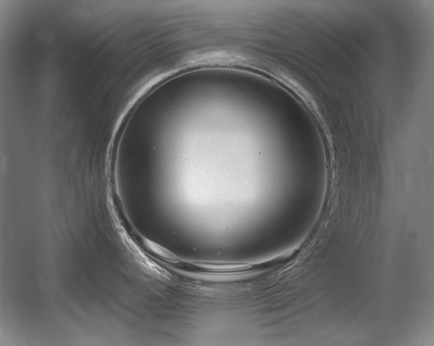 X0000056021392200508191316