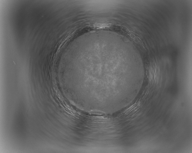 X0000056021393200508191315