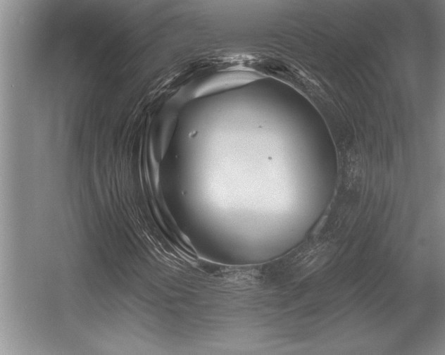 X0000056021394200508191315