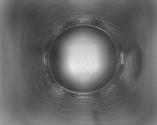 X0000056021395200508191315