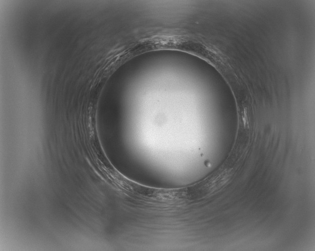 X0000056021396200508191315