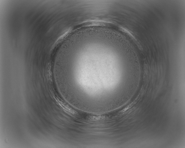 X0000056021403200508191315