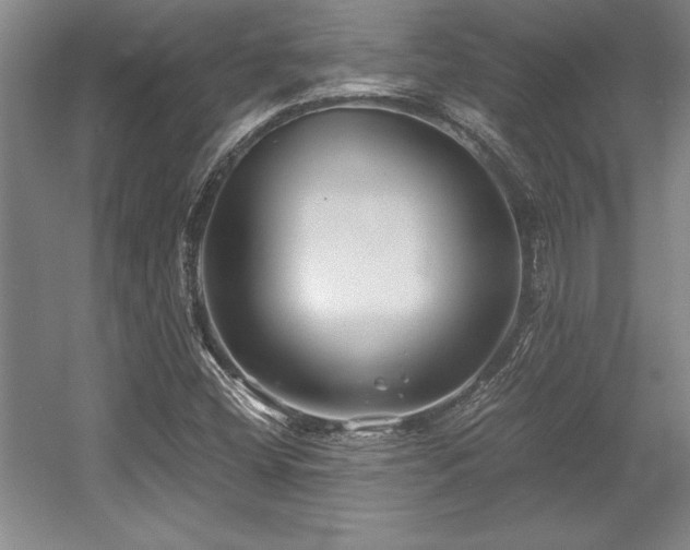 X0000056021404200508191315