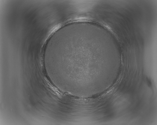 X0000056021405200508191315