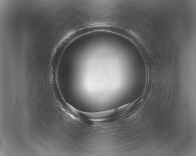 X0000056021406200508191315