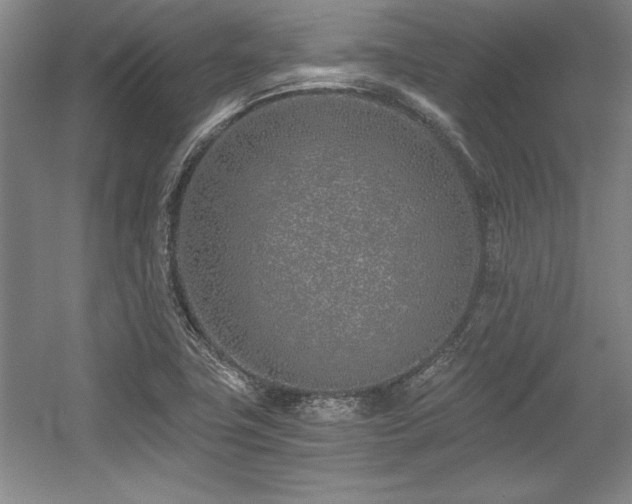 X0000056021411200508191315