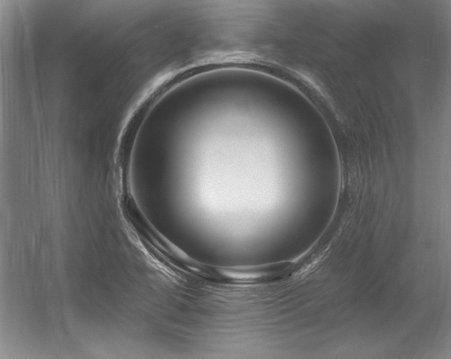 X0000056021414200508191315