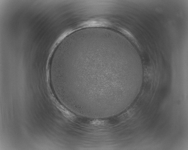 X0000056021419200508191315