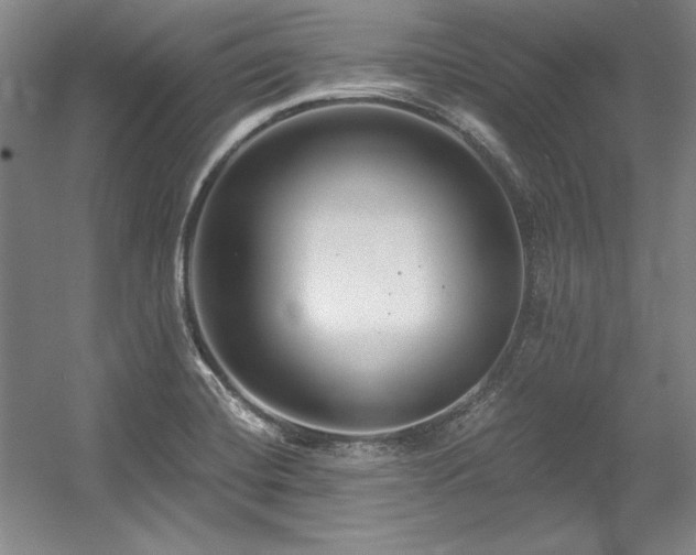 X0000056021420200508191315