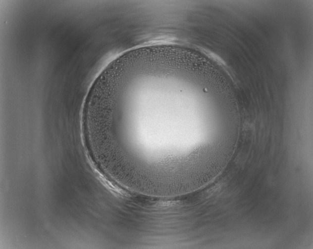 X0000056021423200508191316