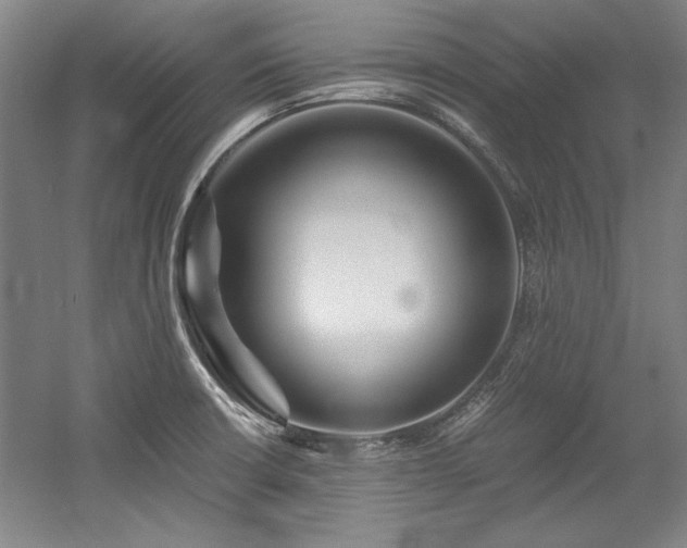 X0000056021426200508191316