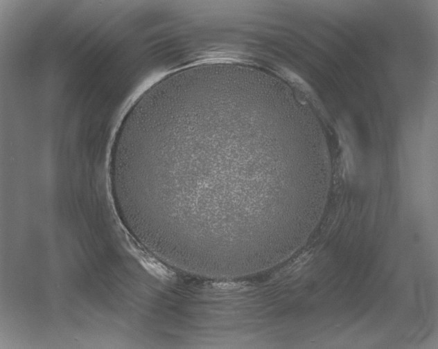 X0000056021427200508191316