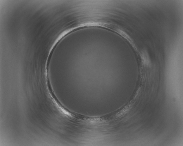 X0000056021428200508191316