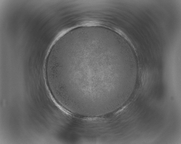 X0000056021429200508191316