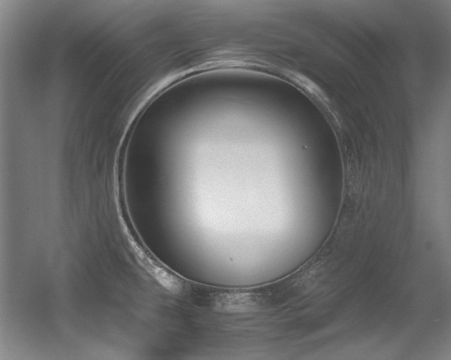 X0000056021431200508191316