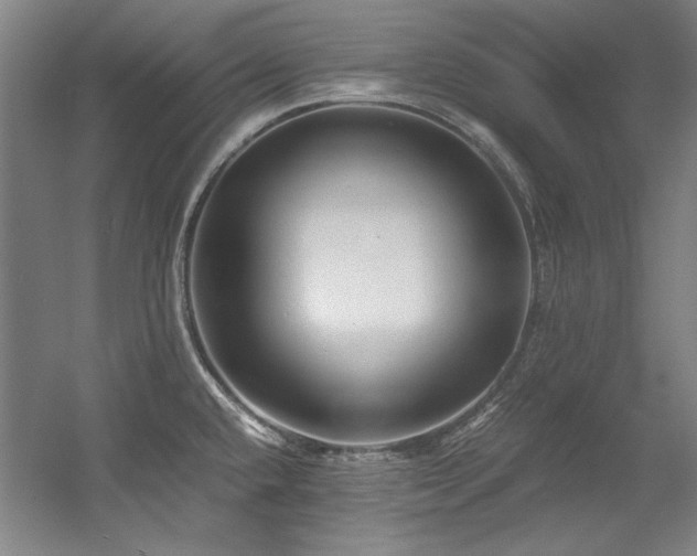X0000056021432200508191316