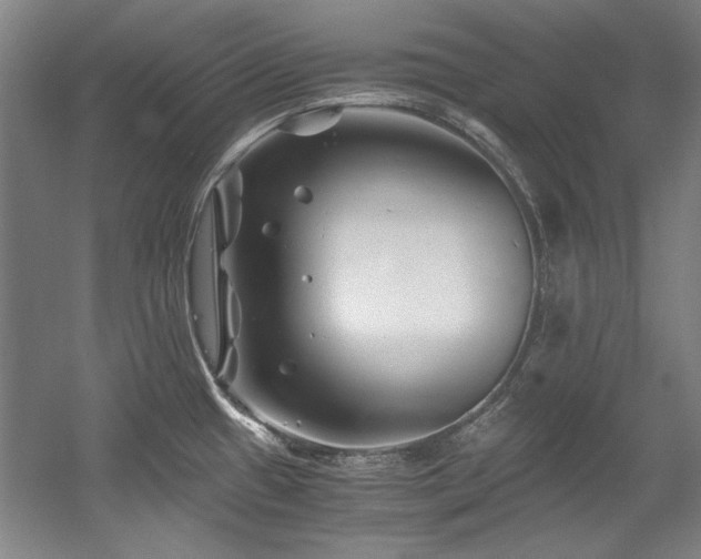 X0000056021433200508191316